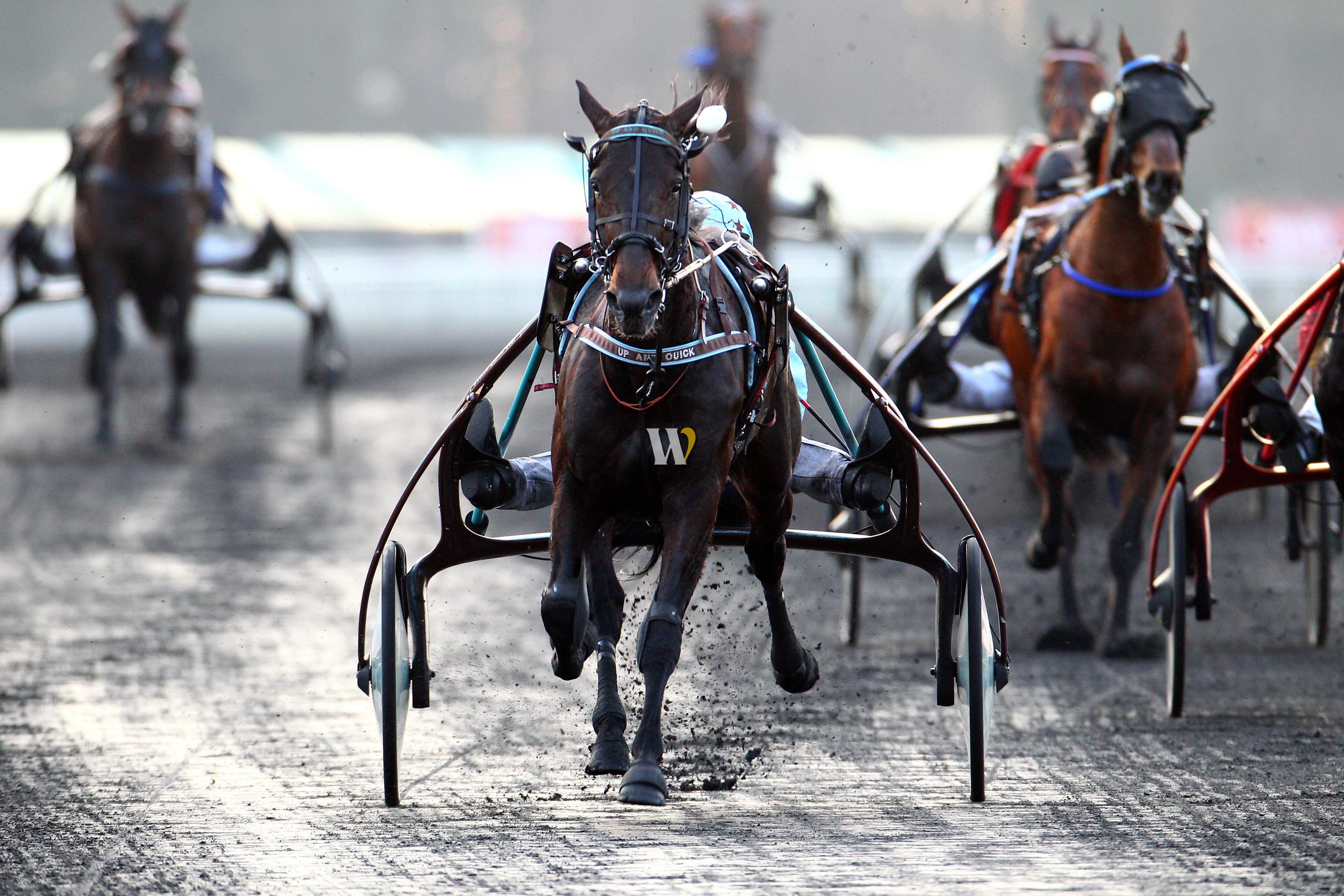 Le pronostic du jour d'iWin dans le quinté à Vincennes